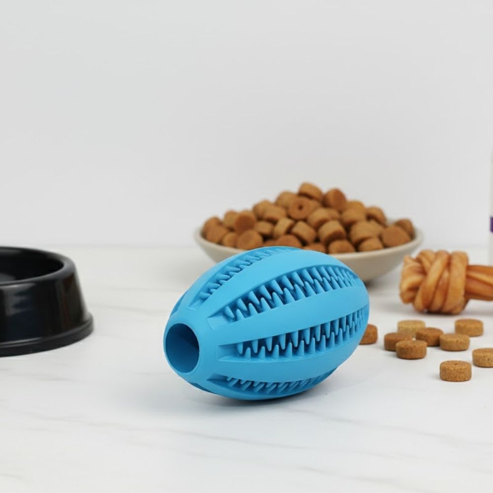 Hundboll RUGBY 11 cm