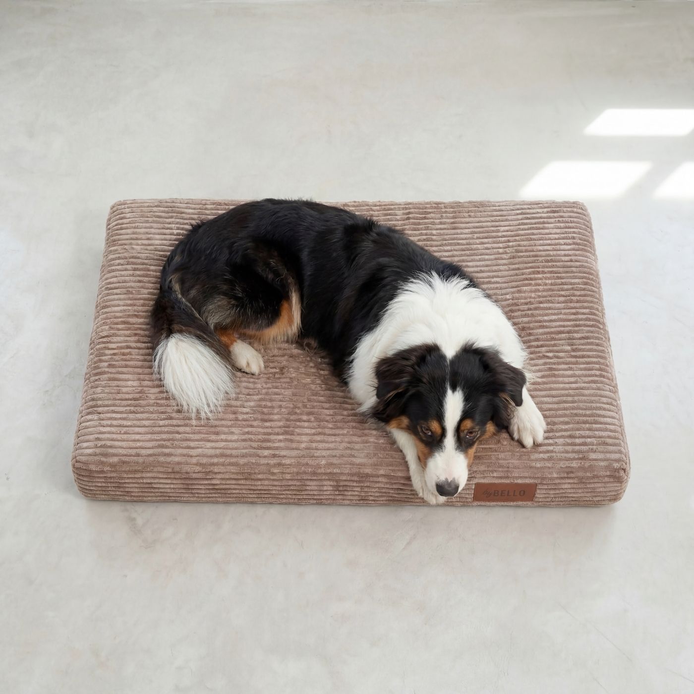 Ortopedisk hundbädd LUNO Beige