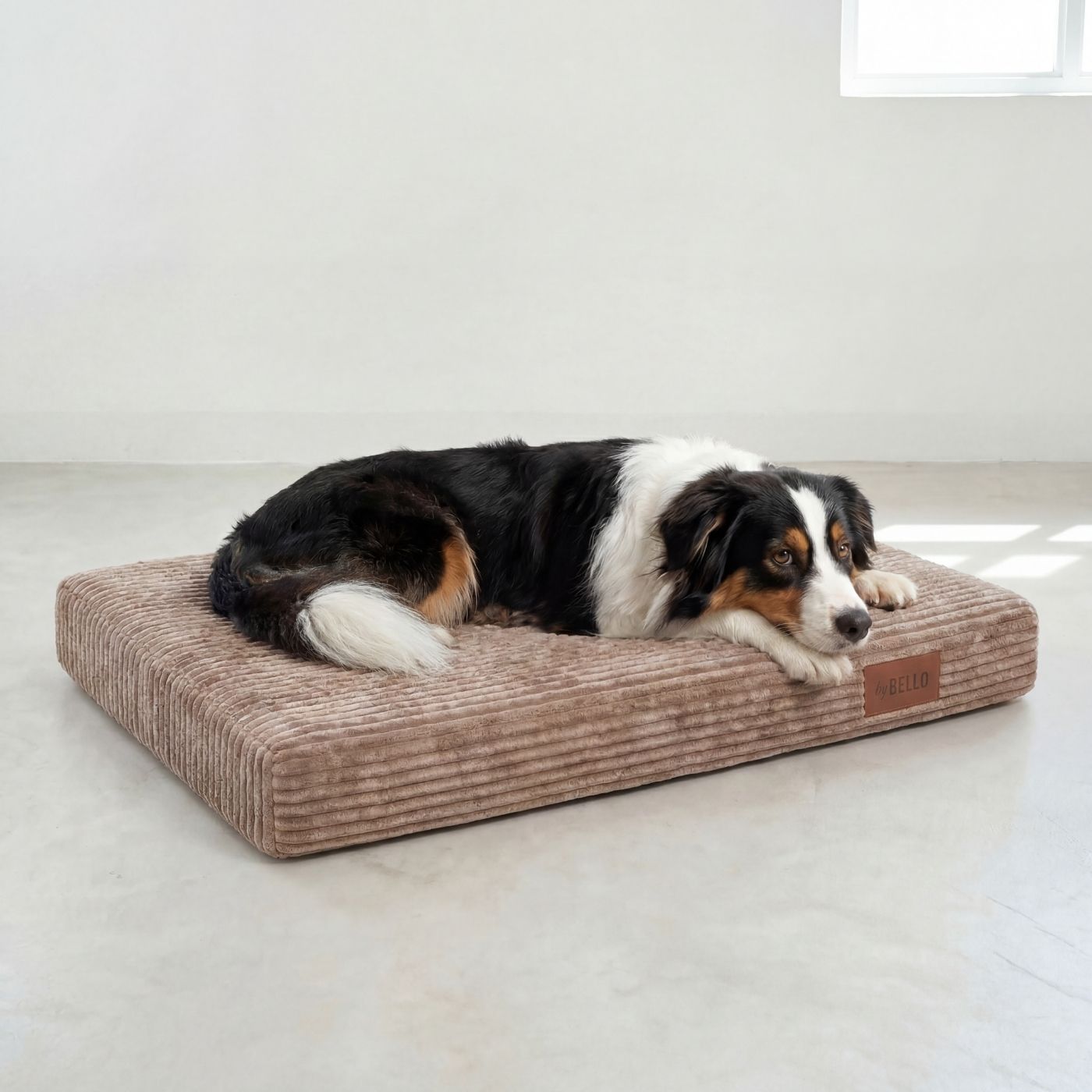 Ortopedisk hundbädd LUNO Beige
