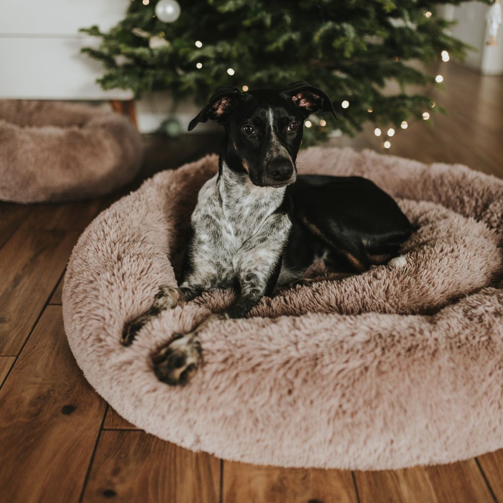 Hundsäng Moln Premium Beige