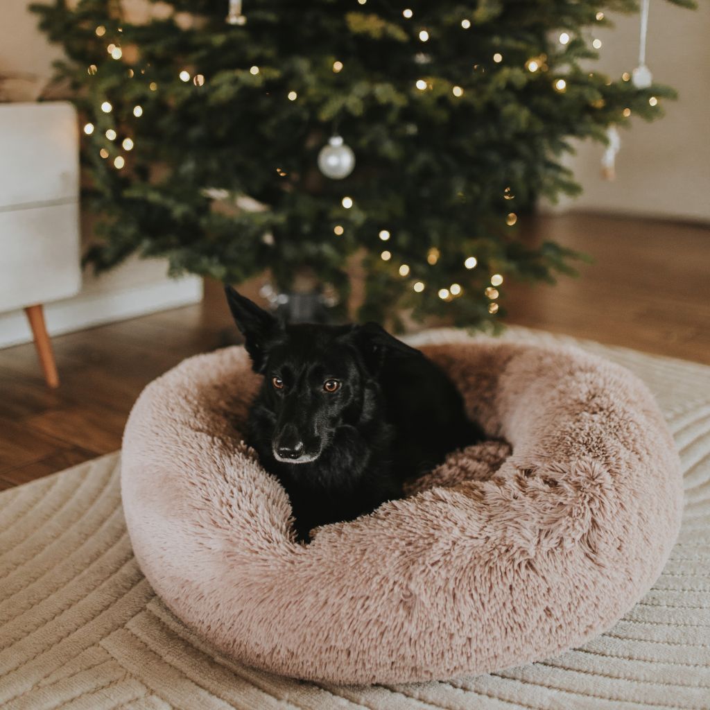 Hundsäng Moln Premium Beige