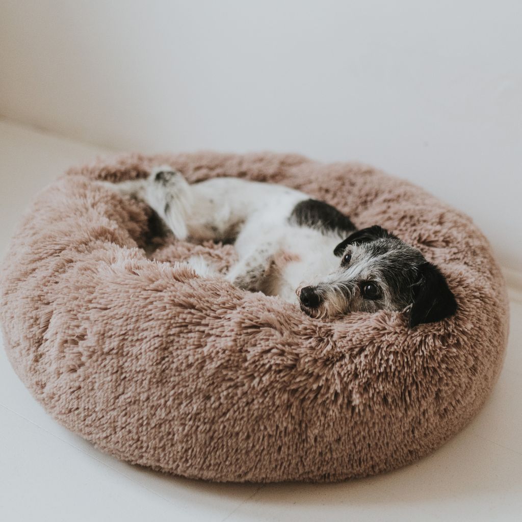 Hundsäng Moln Premium Beige