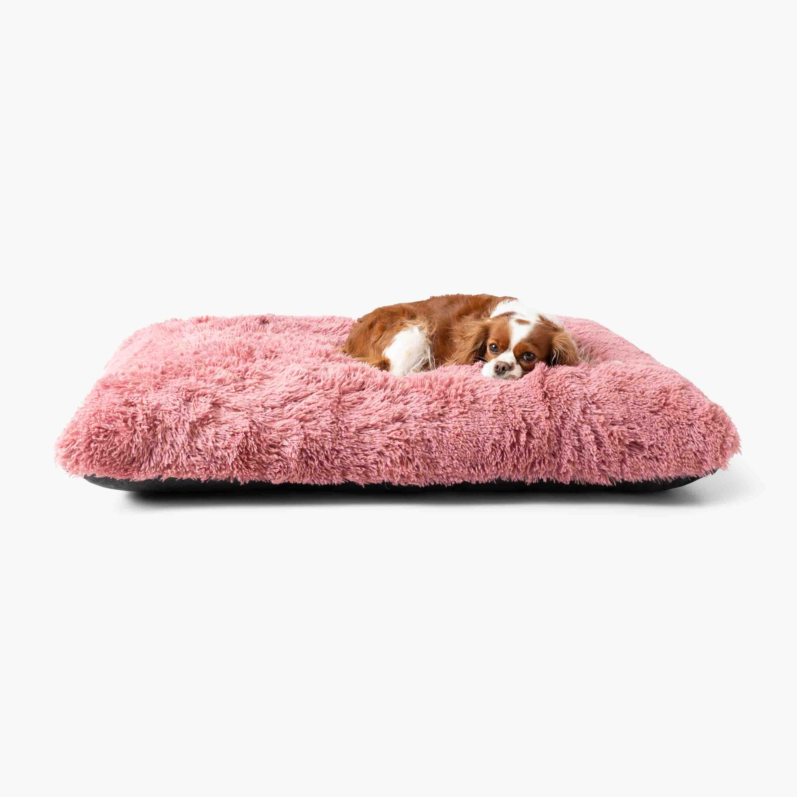 Mjuk Hundkudde MIA Brun Rosa