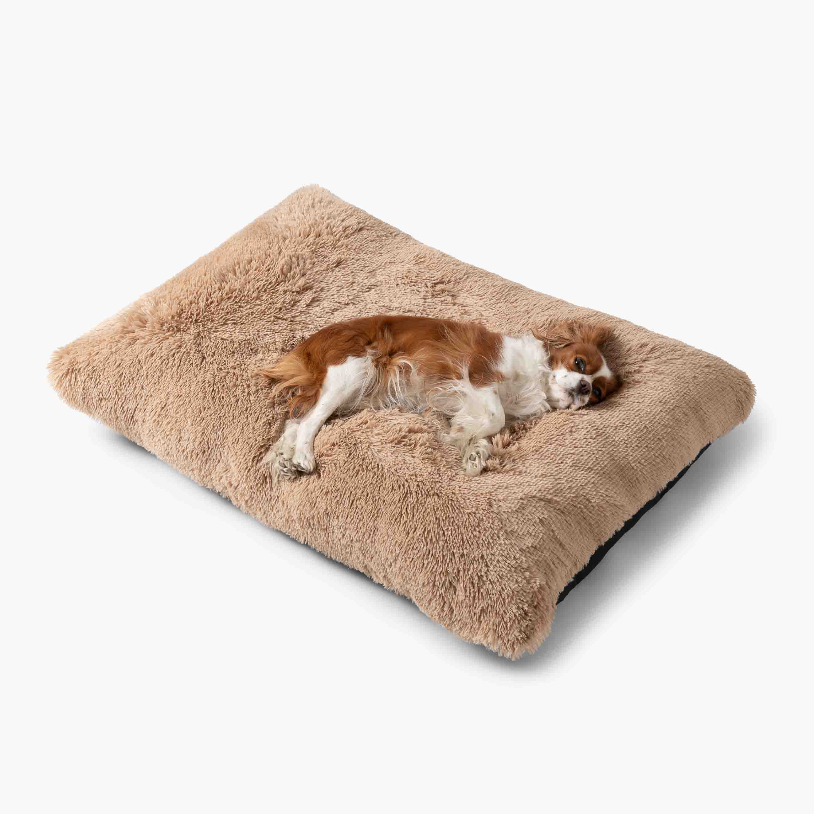 Mjuk Hundkudde MIA Beige