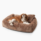 Beige hundbädd BELLO i manchester med en cavalier king charles spaniel som vilar i bädden