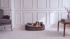 Cavalier king charles spaniel som sitter i en grafitgrå hundbädd BELLO i manchester