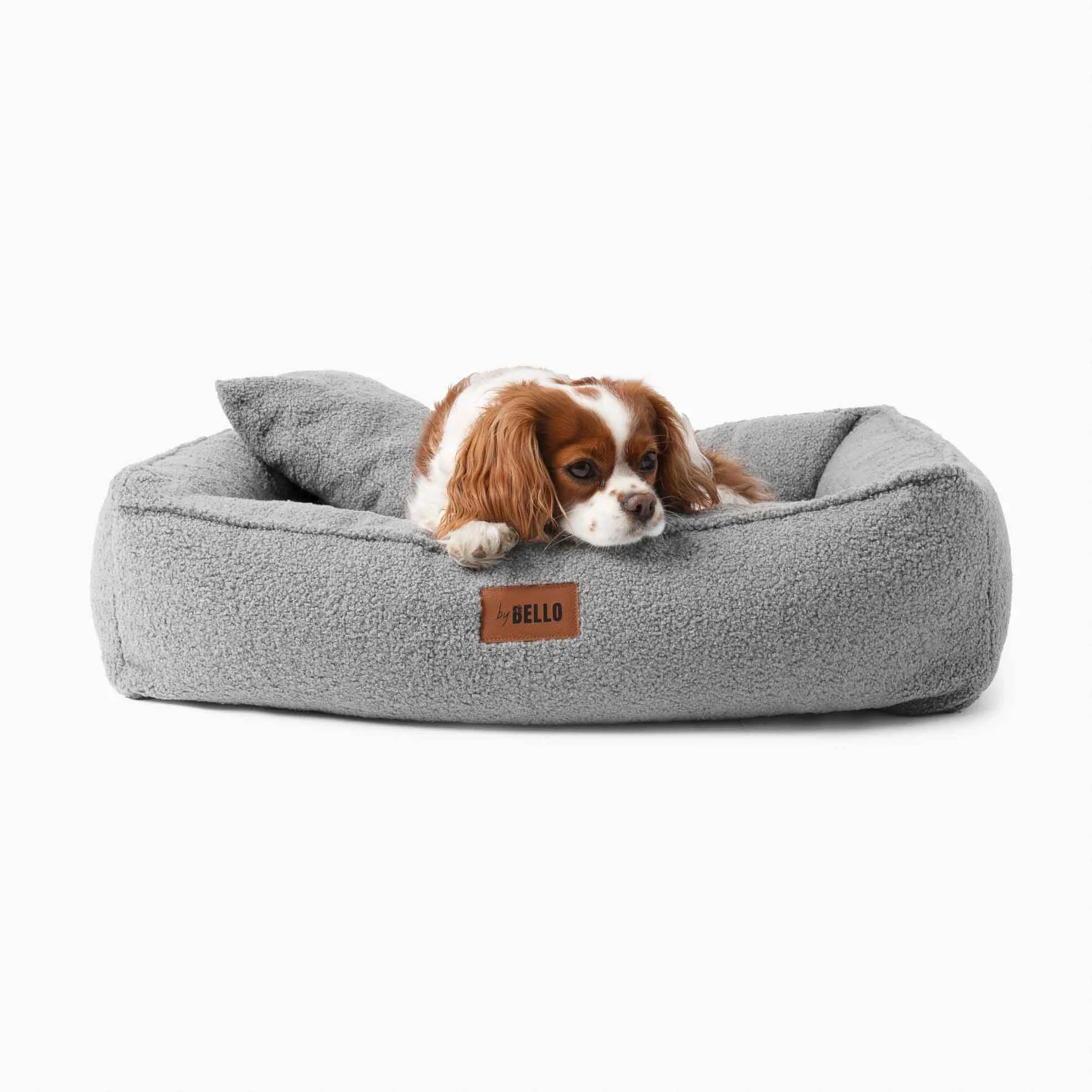 Ljusgrå hundbädd ROYAL i bouclé med hund som vilar – ByBello