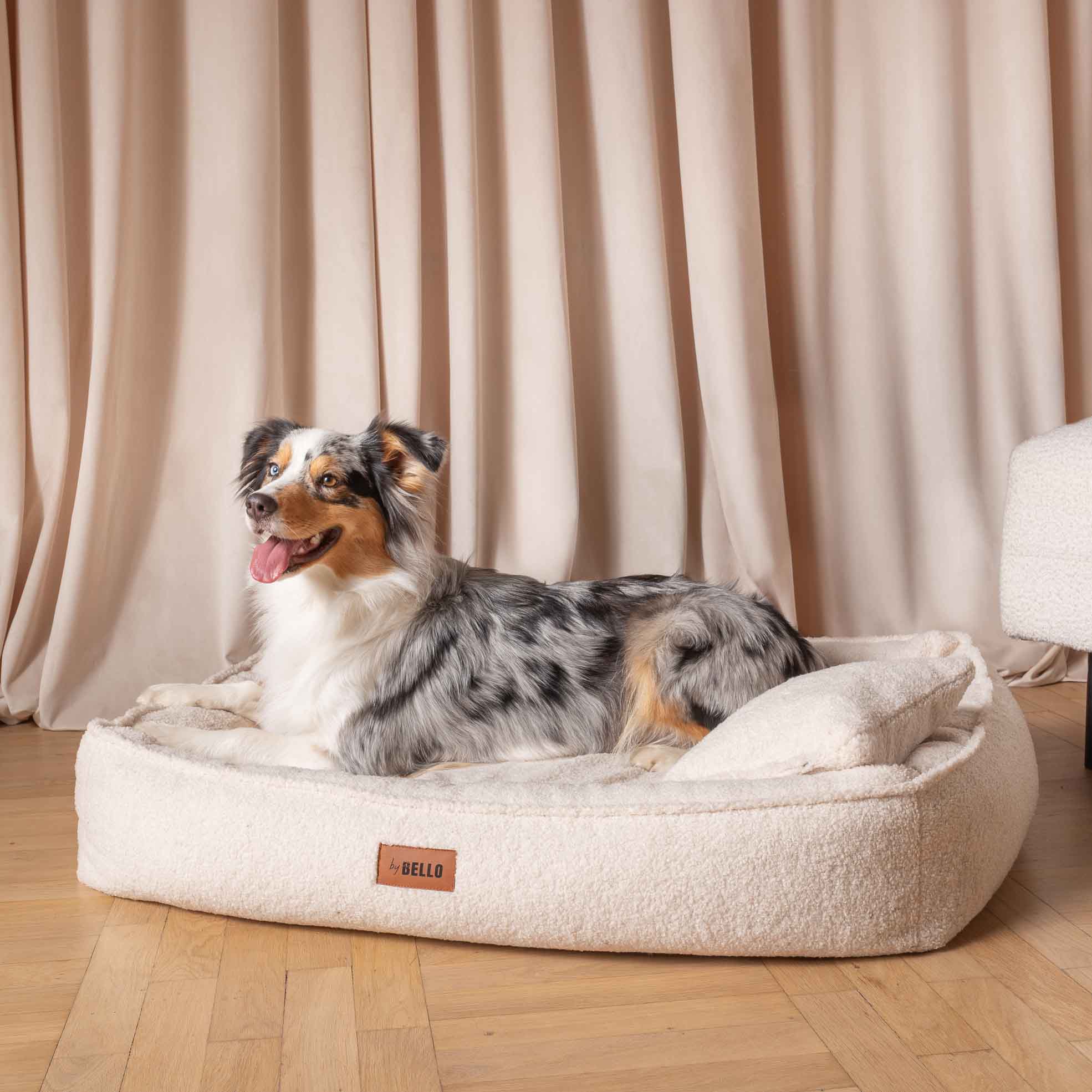 Hund som sitter i den krämvita hundbädden ROYAL i bouclé