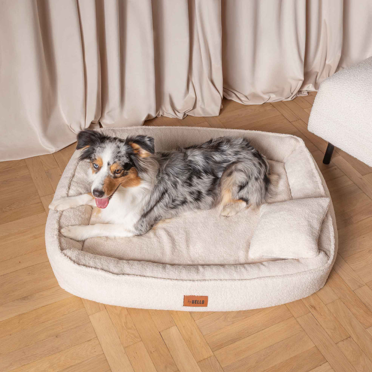 Hund som vilar bekvämt i en krämvit hundbädd med mjuka kanter