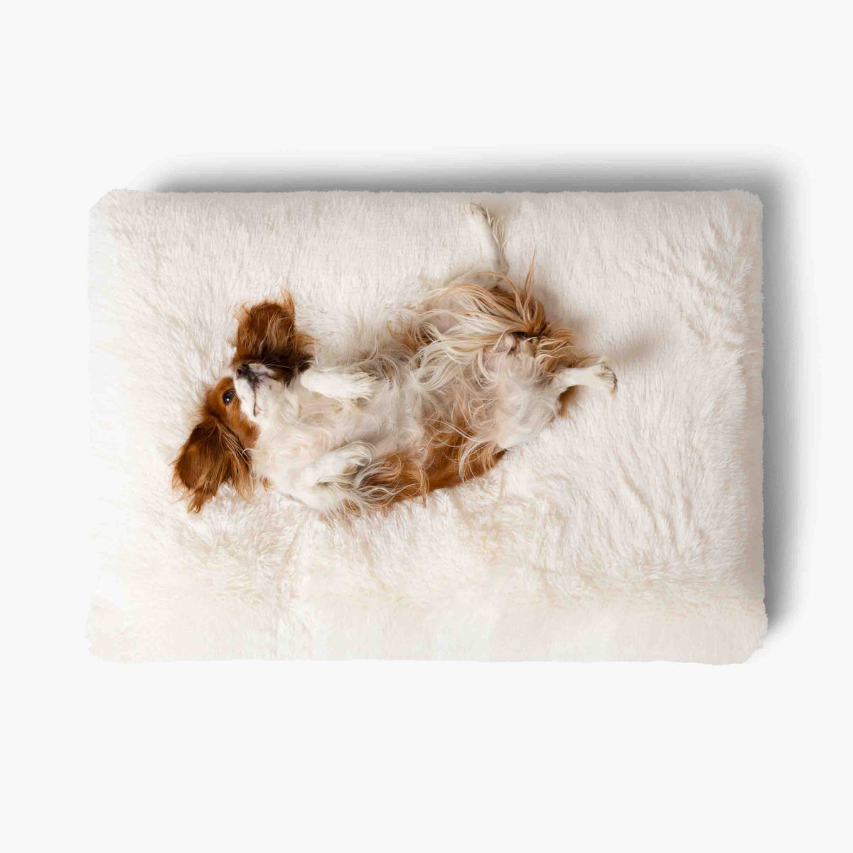 Hund som ligger avslappnat på rygg i en fluffig krämvit hundbädd MIA