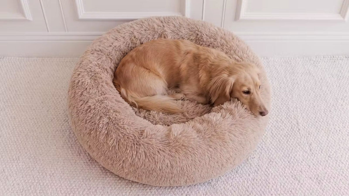 Plyschig Hundbädd MOLN Beige