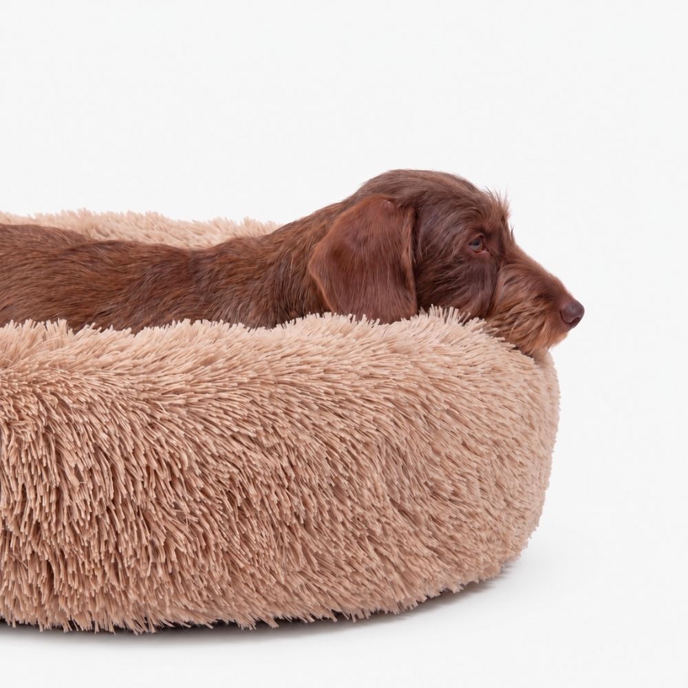 Plyschig Hundbädd MOLN Beige