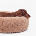 Plyschig Hundbädd MOLN Beige