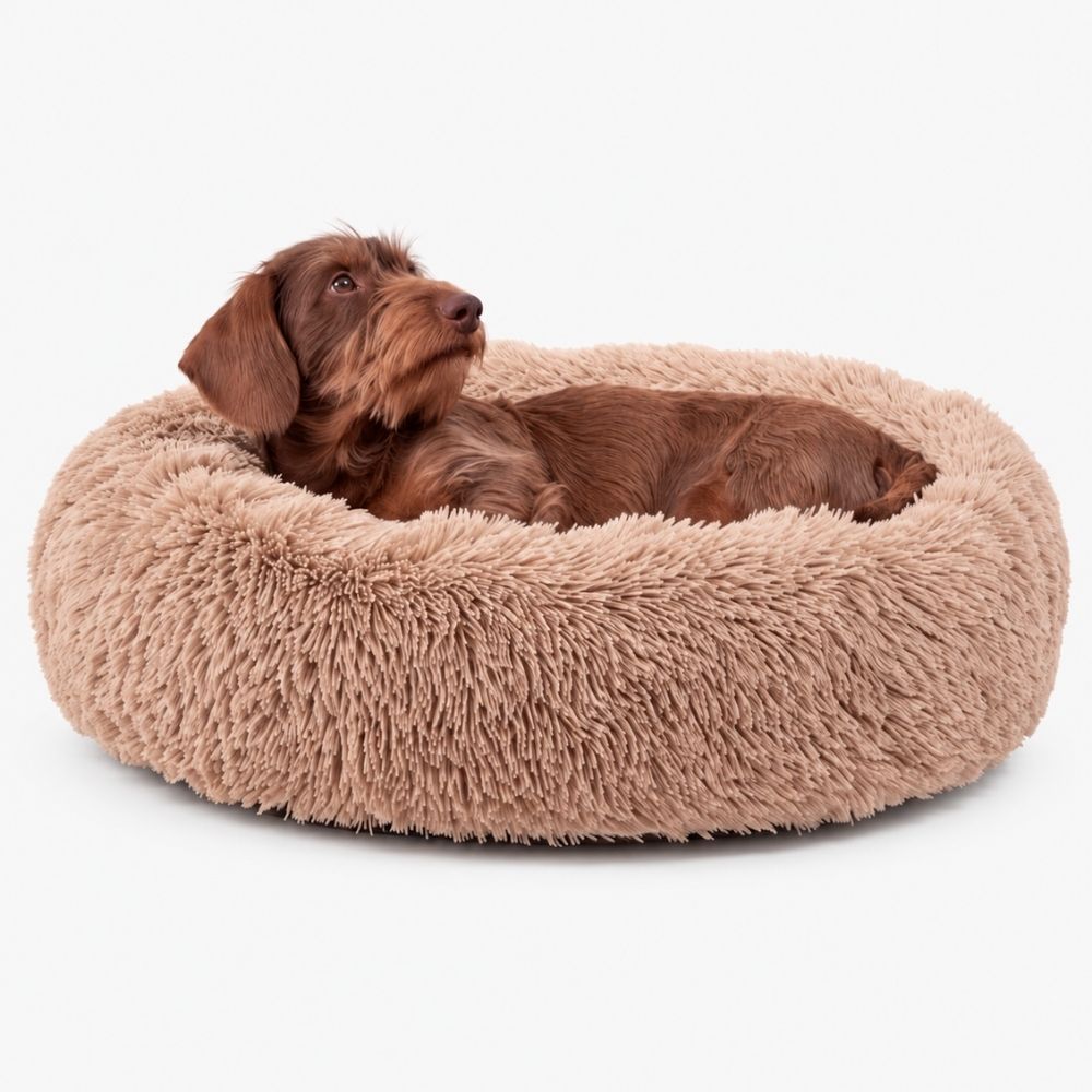 Plyschig Hundbädd MOLN Beige