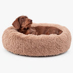 Plyschig Hundbädd MOLN Beige