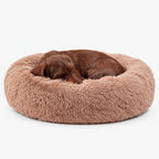 Plyschig Hundbädd MOLN Beige