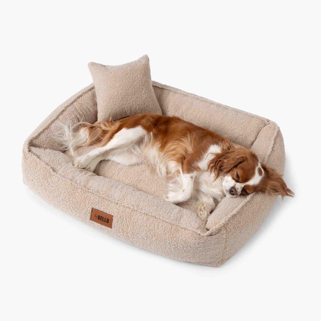 Hund som ligger bekvämt i en beige hundbädd i bouclé