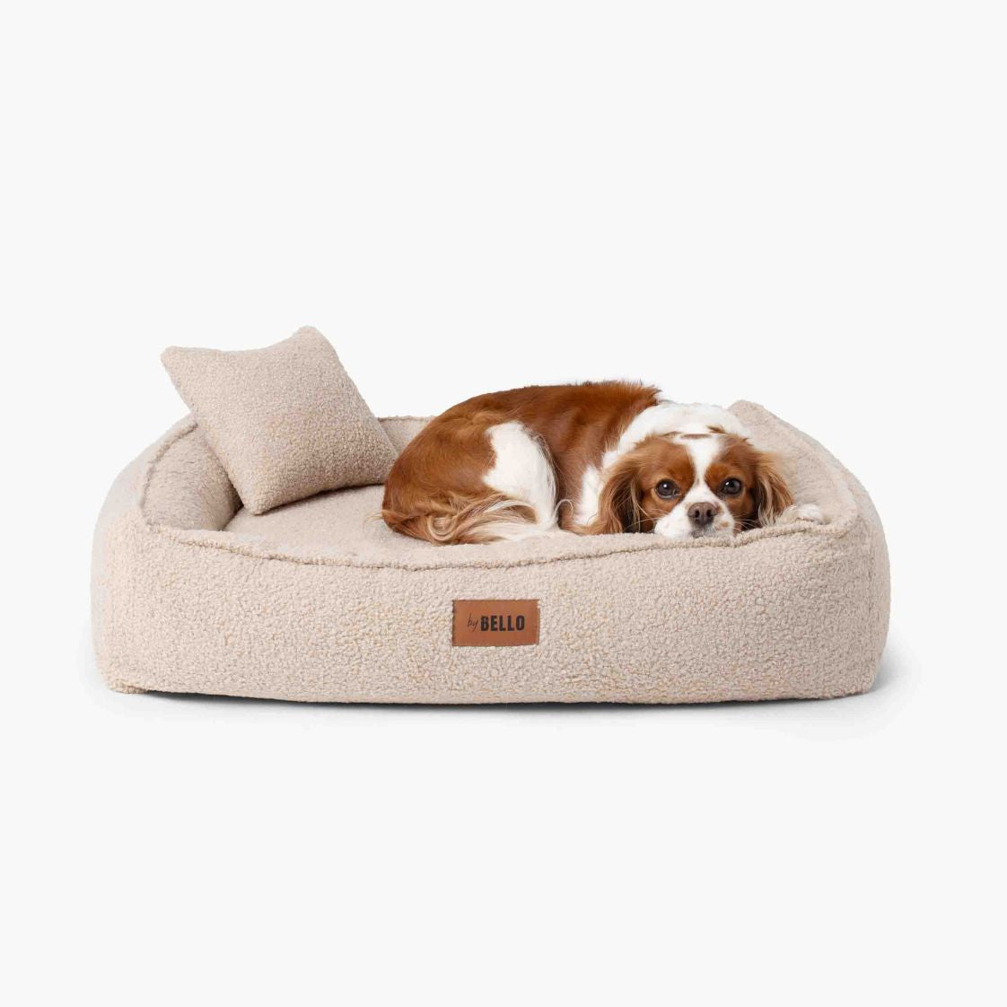 Beige hundbädd ROYAL i bouclé med mjuka kanter och en hund som vilar