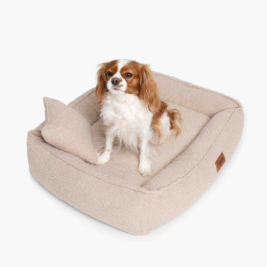 Ortopedisk hundsäng ROYAL i mjuk bouclé i beige