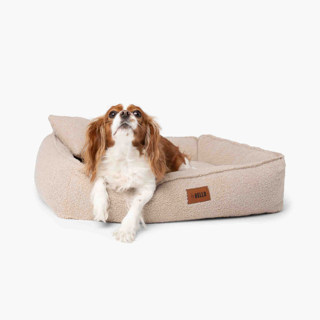Ortopedisk hundsäng ROYAL i mjuk bouclé i beige