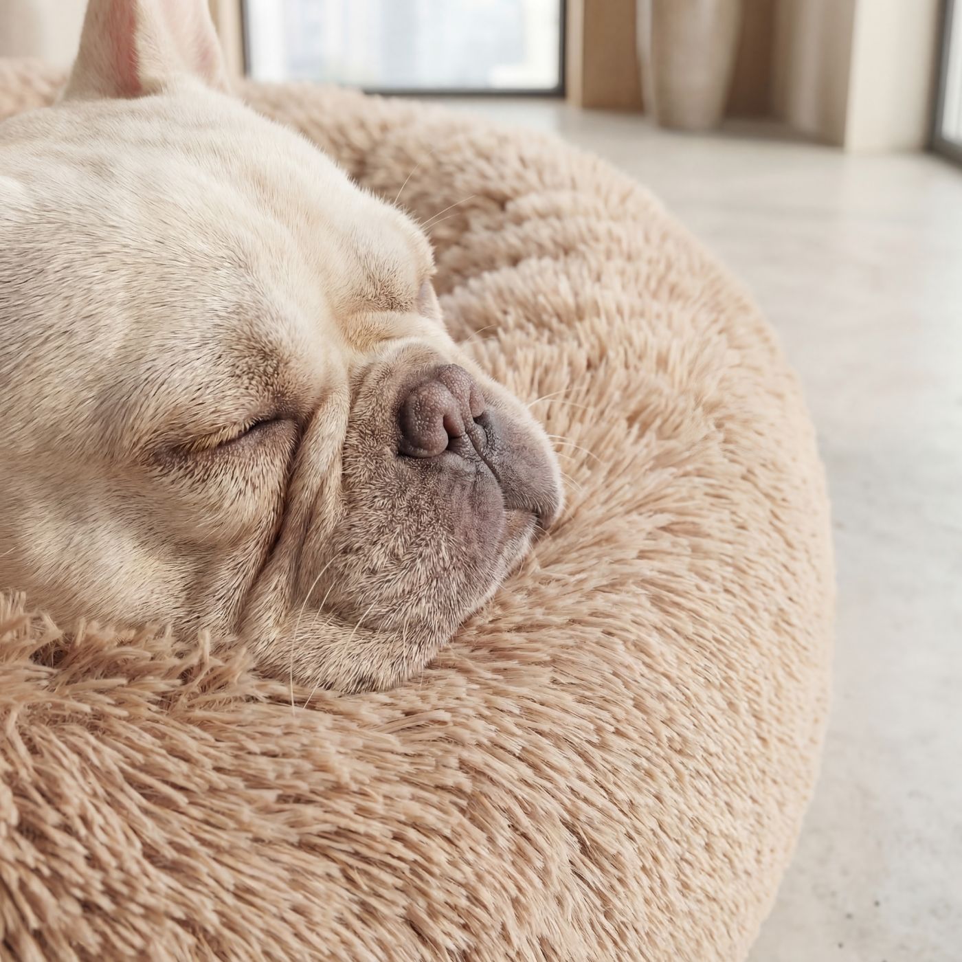 Hundsäng Moln Premium Beige