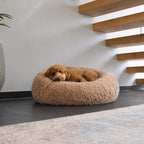 Plyschig hundbädd MOLN Beige i modern inredning, bekväm viloplats för hunden