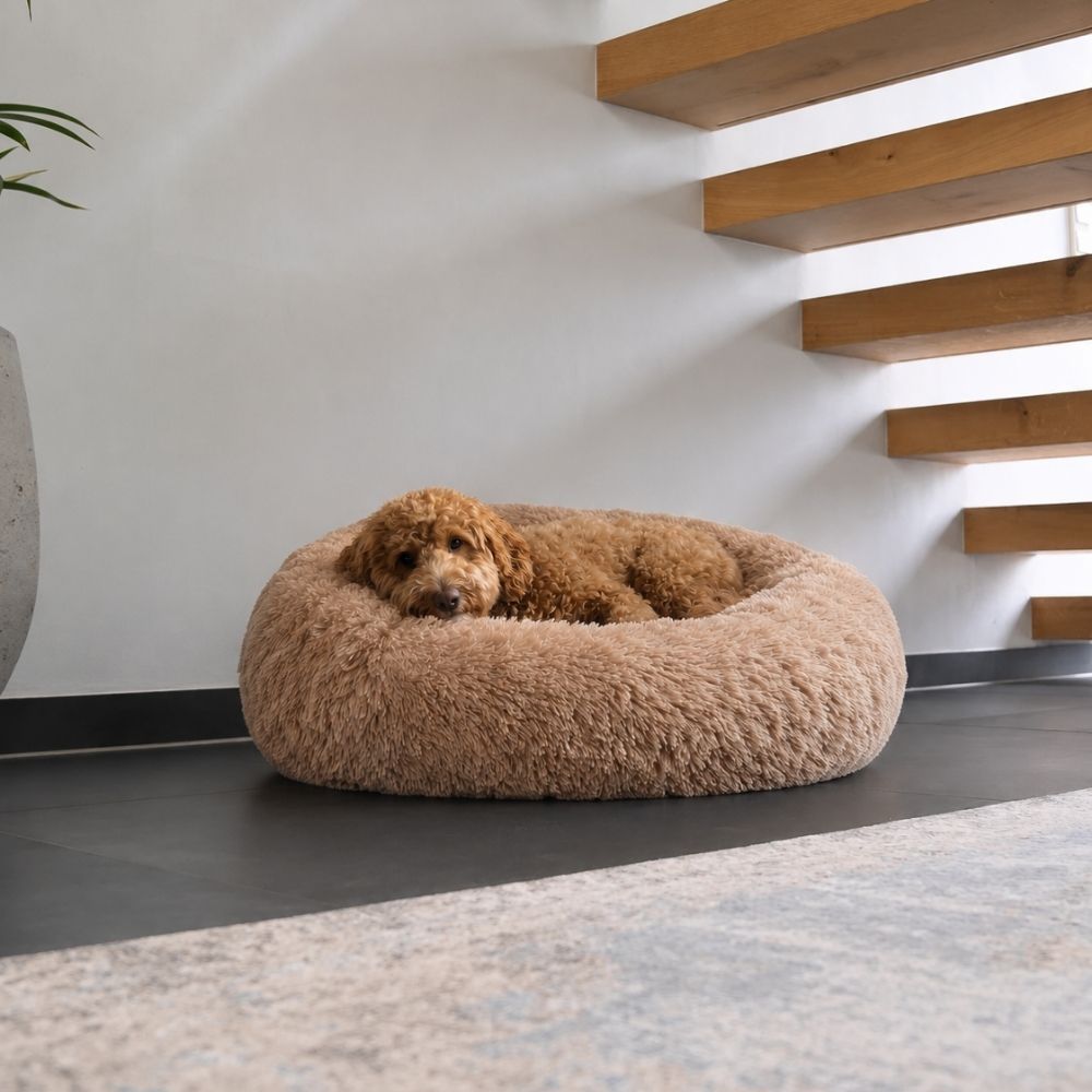 Plyschig hundbädd MOLN Beige i modern inredning, bekväm viloplats för hunden