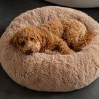 Hund i plyschig hundbädd MOLN Beige, fluffig bädd som ger en mjuk och ombonad viloplats