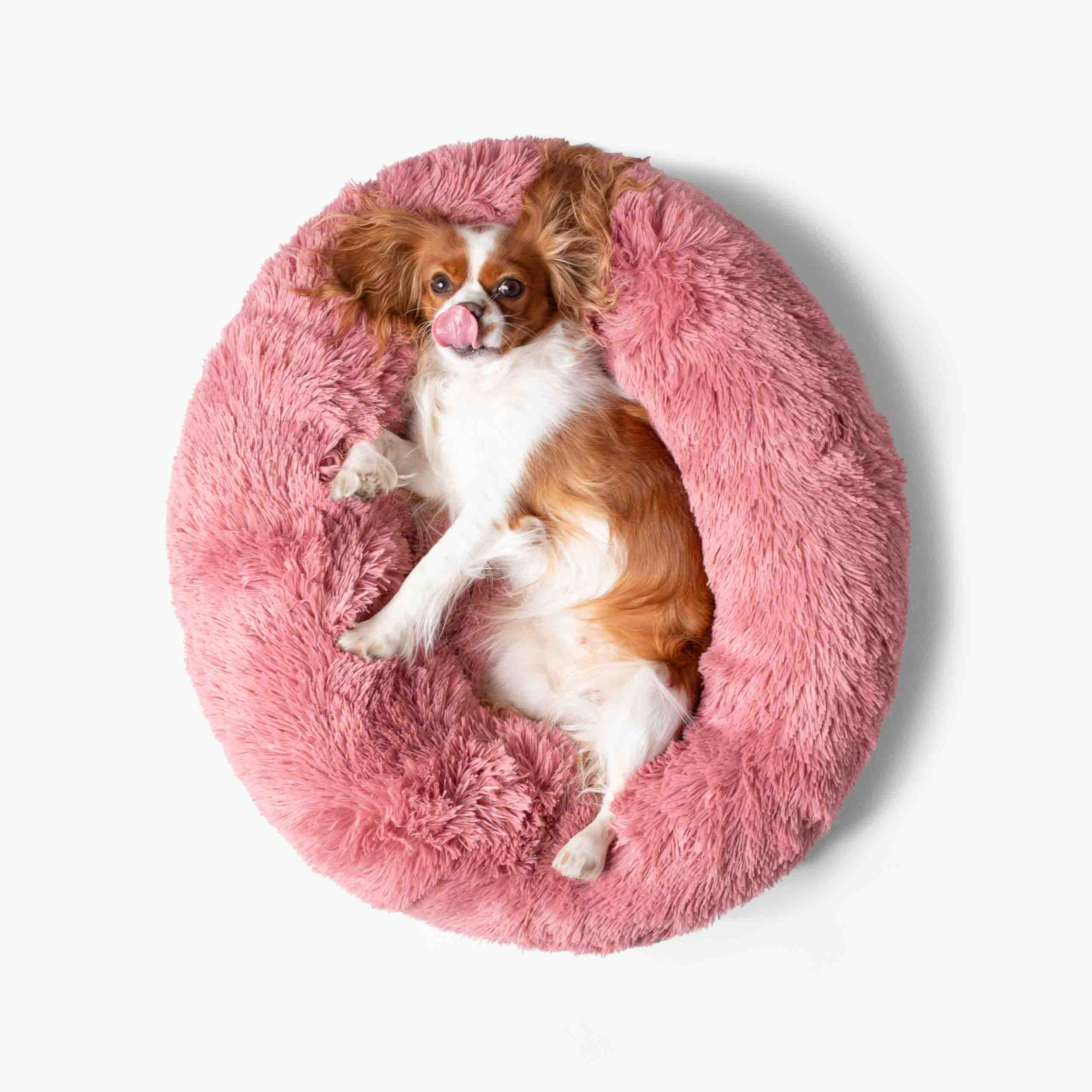 Hund som vilar bekvämt i rund plyschig hundbädd MOLN Rosa