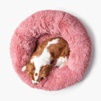 Hund i mjuk rund hundbädd MOLN sedd ovanifrån Rosa