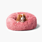 Hund som vilar bekvämt i rund plyschig hundbädd MOLN Rosa