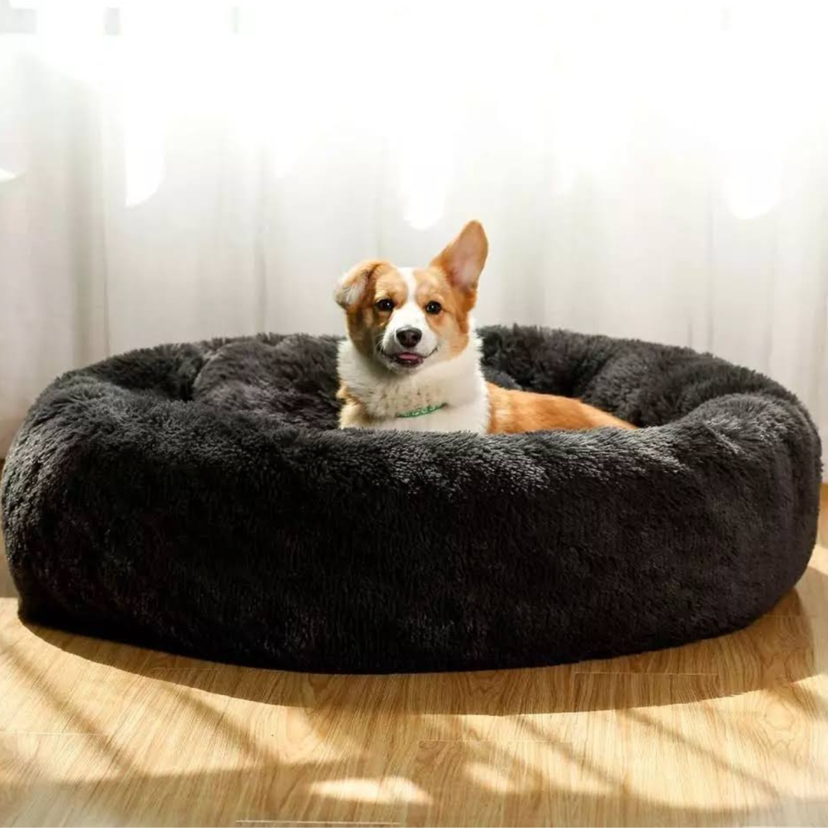 Hund som vilar i mjuk rund hundbädd MOLN Svart