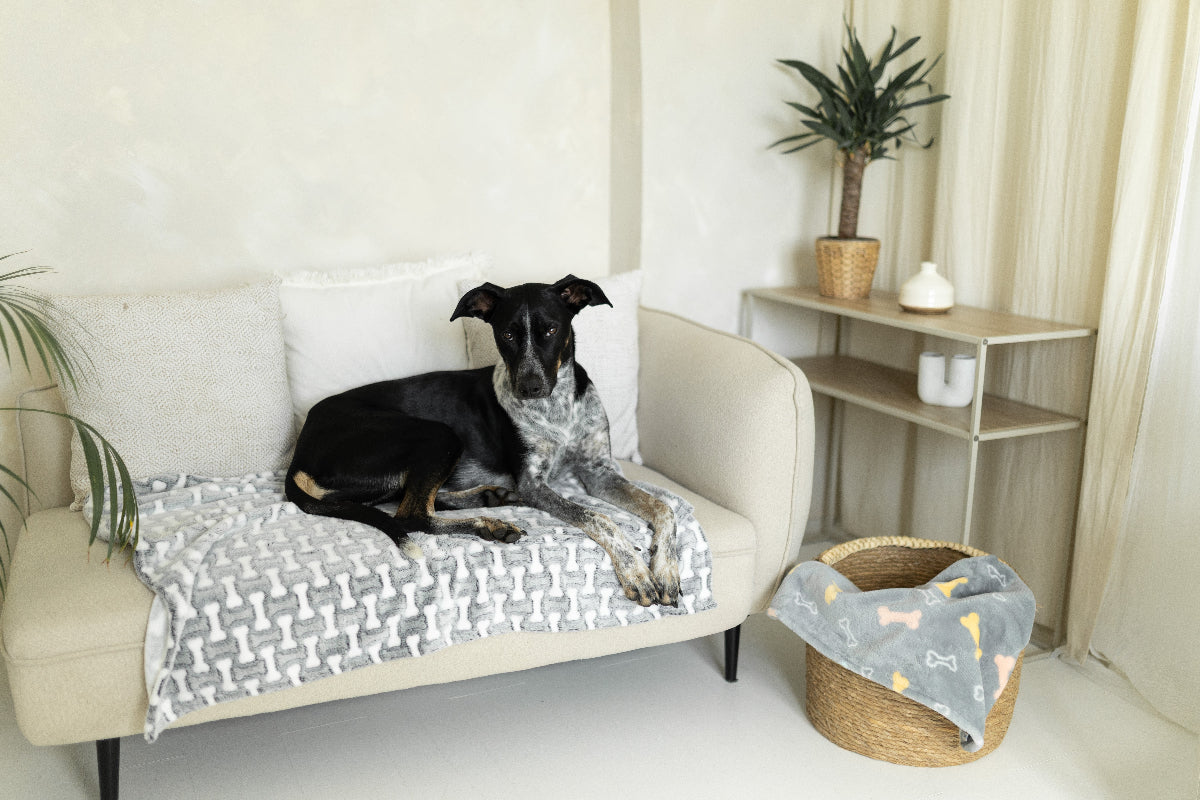 Polarpläd för hund – ljusgrå enfärgad, mjuk och varm fleecefilt för hund och katt