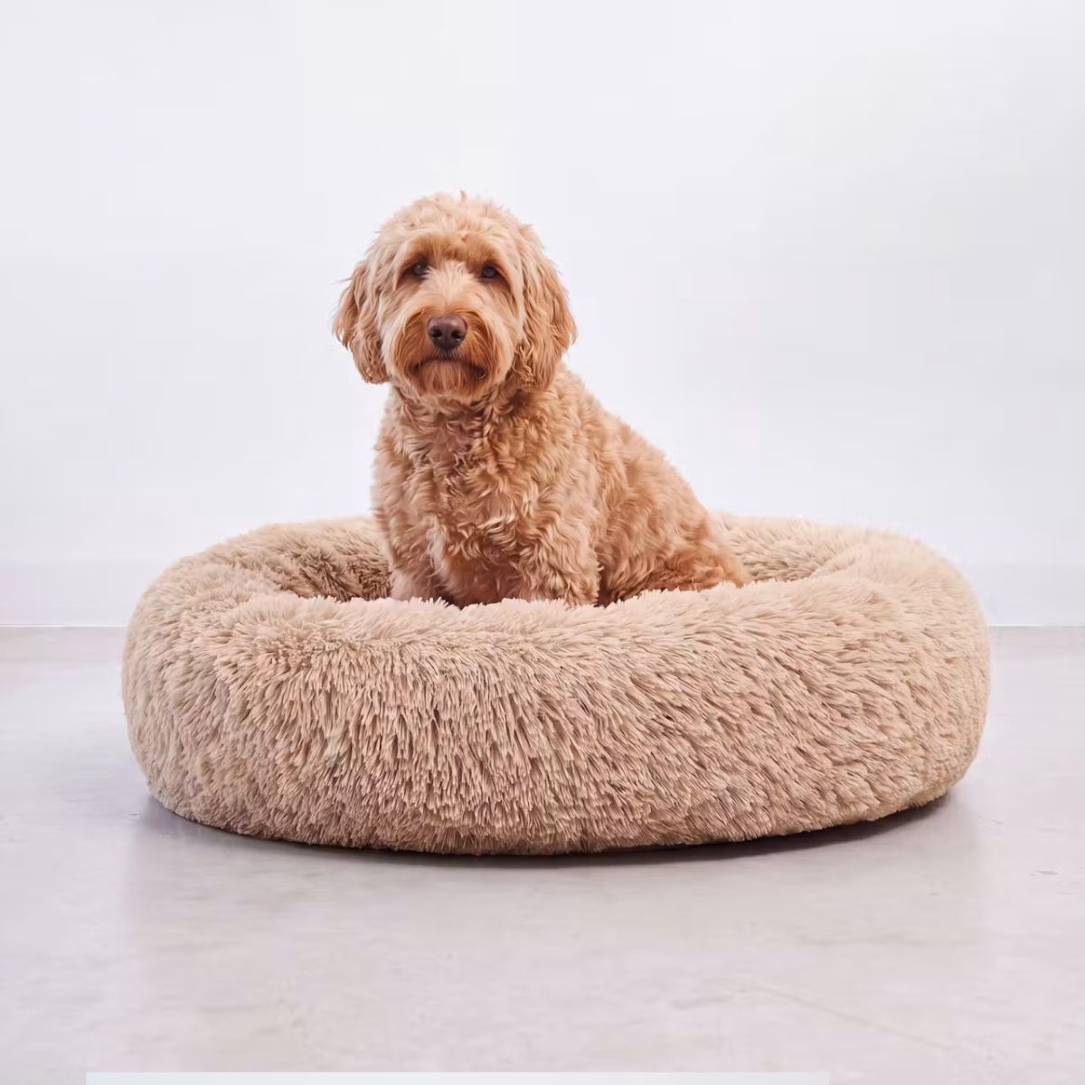Plyschig Hundbädd MOLN Beige